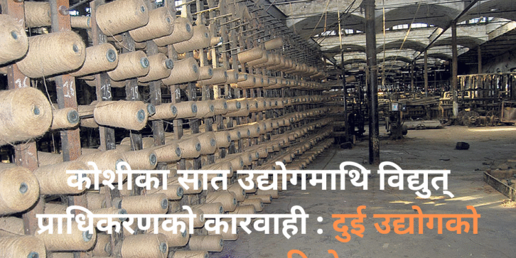 कोशीका सात उद्योगमाथि विद्युत् प्राधिकरणको कारवाही : दुई उद्योगको लाइन काटियो