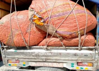 विराटनगरमा भारतबाट ल्याइएका सयपत्री माला सहित चालक पक्राउ