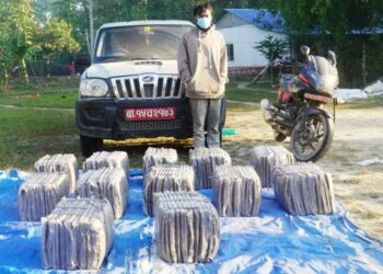 इनरुवा चाँदवेलामा सशस्त्र प्रहरीको कारवाही : डेढ क्विन्टल गाँजासहित युवक पक्राउ,