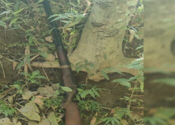 धनकुटामा झाडीभित्र लुकाइएको भरुवा बन्दुक फेला