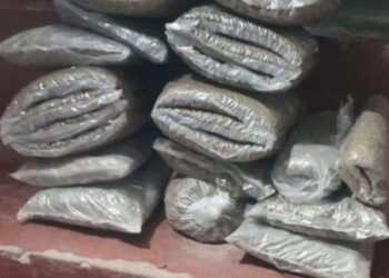 सुनसरीका दुई स्थानबाट २९३ केजी गाँजा बरामद, दुई जना पक्राउ