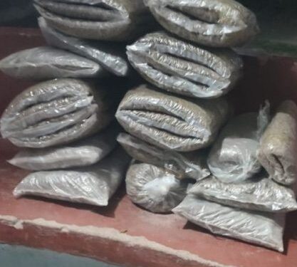 सुनसरीका दुई स्थानबाट २९३ केजी गाँजा बरामद, दुई जना पक्राउ