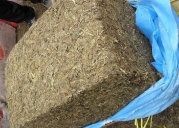 धरानमा मोटरसाइकलमार्फत ओसारफेर हुँदै गरेको गाँजा बरामद