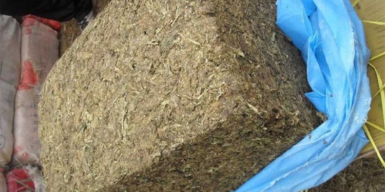 धरानमा मोटरसाइकलमार्फत ओसारफेर हुँदै गरेको गाँजा बरामद