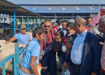 विराटनगरमा खोरेत रोगमुक्त अभियान प्रारम्भ, पहिलो चरणमा १६ हजारभन्दा बढी गाई–भैंसीलाई खोप