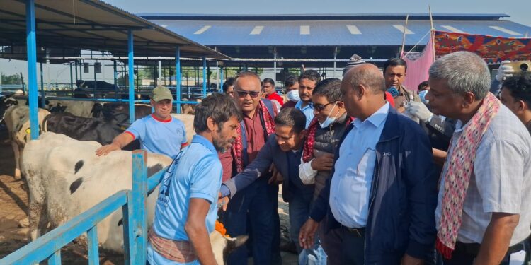 विराटनगरमा खोरेत रोगमुक्त अभियान प्रारम्भ, पहिलो चरणमा १६ हजारभन्दा बढी गाई–भैंसीलाई खोप