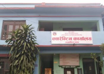 झापा  पहिलो त्रैमासिकमा तीन अर्बभन्दा बढीको कृषिजन्य वस्तु निर्यात