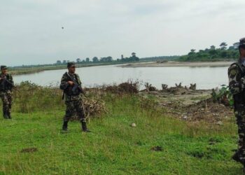 कोशीटप्पु वन्यजन्तु आरक्ष : वन्यजन्तु संरक्षणदेखि विपद् व्यवस्थापनसम्म नेपाली सेनाको व्यापक जिम्मेवारी