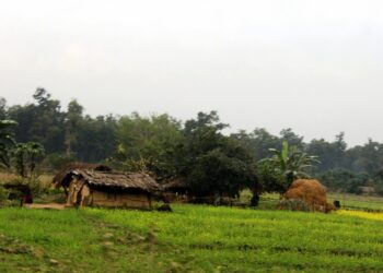 शुक्लाफाँटा निकुञ्जमा ५१४ हेक्टरभन्दा बढी क्षेत्र अतिक्रमण,