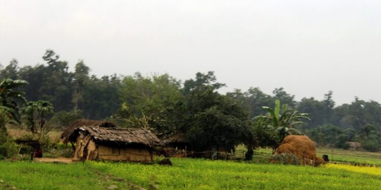 शुक्लाफाँटा निकुञ्जमा ५१४ हेक्टरभन्दा बढी क्षेत्र अतिक्रमण,