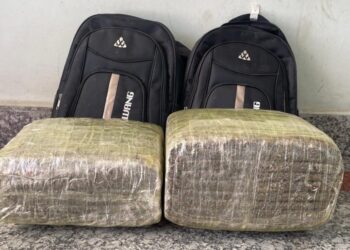 सुनसरीमा १८.५८ किलो गाँजासहित युवक पक्राउ