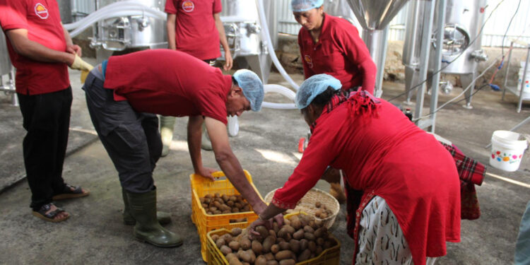 धनकुटामा किबी वाइन उद्योग, किसानको उत्पादनलाई गाउँमै बजार