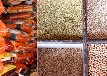 कृषिमा मूल्य वृद्धि, उद्योगमा मध्यम सुधार र निर्माण लागत घट्दो