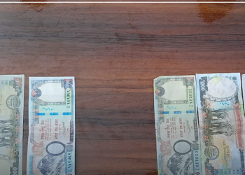 मोरङमा फेरि नक्कली नोटको कारोबार, रेडबुल खरिदबाट खुल्यो गिरोहको रहस्य