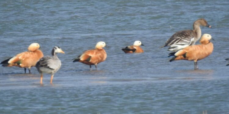 नेपालमा ‘विश्व सिमसार दिवस’– सिमसार र परम्परागत ज्ञानको संरक्षणमा जोड
